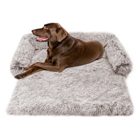 Un chien de couleur marron qui se repose sur un tapis de couleur gris sur un fond blanc