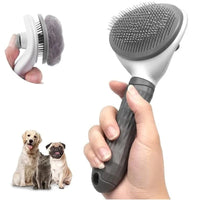 Brosse pour chien autonettoyante