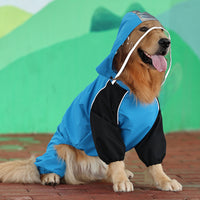 Manteau imperméable pour chien avec capuche transparente