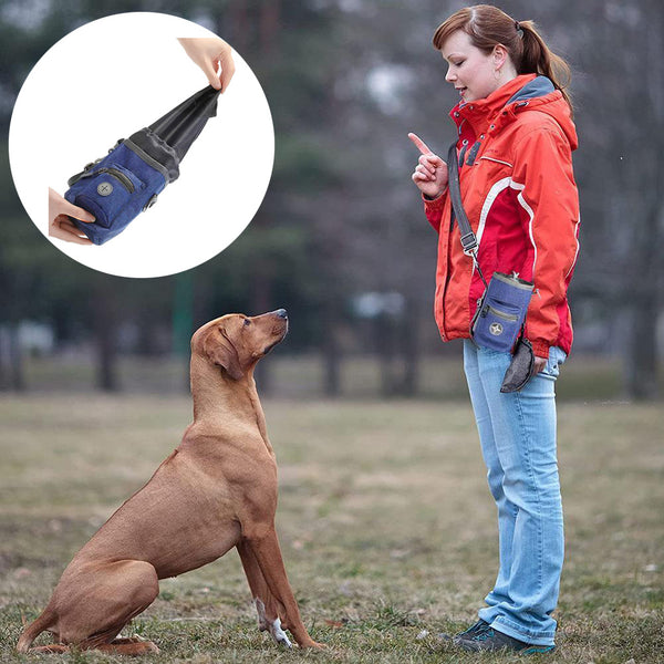 Une femme qui porte son sac à friandise et qui dresse son chien sur une pelouse