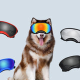 Un chien avec les lunettes de ski le tout  est en fond blanc