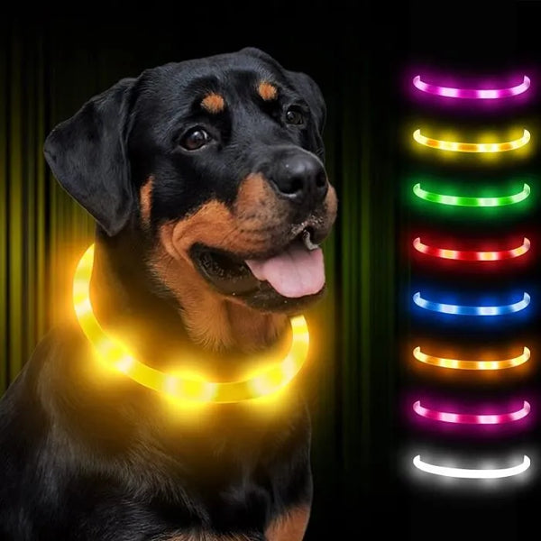 Un chien noir qui porte un collier lumineux de couleur jaune sur son cou avec des colliers lumineux qui brillent près de lui