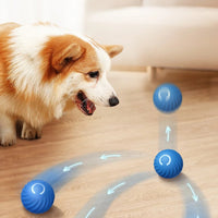 Un chien jouant avec sa balle bleue