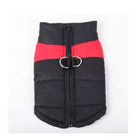Manteau pour chien noir avec une bande rouge, sur un fond blanc