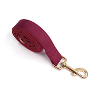 Collier pour chien personnalisé en velours bordeaux avec laisse assortie