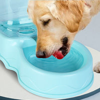 Fontaine à eau pour chien avec réservoir transparent