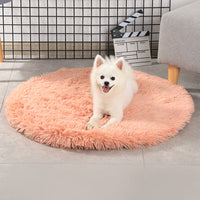 Un petit chien de couleur blanc se repose sur son tapis pour chien de couleur saumon près d'une chaise.
