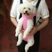 Petit chien blanc se faisant porter par sa maîtresse dans un sac ventral pour chien rose