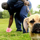 Un homme qui porte un tenu bleu nuit sur une pelouse entrain de ramasser un crotte de chien avec un sac à crottes avec un chien de couleur marron près de lui