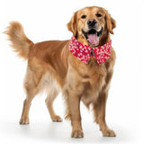 Bandana collier fleuri Truelove® pour chien