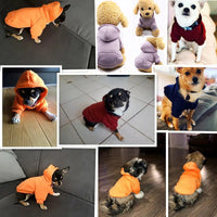 Photo collage de neufs photos de chien portant des sweat à capuche de couleurs différents