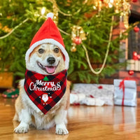 Bandana de Noël pour chien