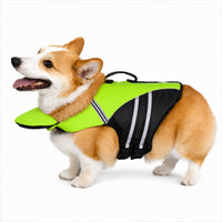 Gilet de sauvetage réglable pour chien