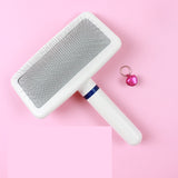 Brosse de toilettage poil court pour chien