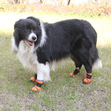 Chaussures antidérapantes pour chien d'escalade