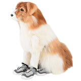 Un chien portant des chaussures sur un fond blanc