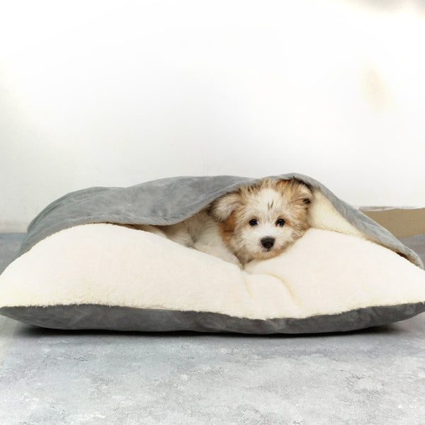 Petit chien blanc et marron dormant dans un sac de couchage douillet gris