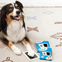 Un chien ayant une patte posée sur le tampon encreur, sur un tapis blanc à motifs