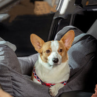 Coussin de voiture sécuritaire pour chien