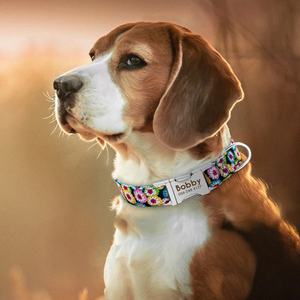 Un grand chien portant son collier pour chien personnalisable à motif bohémien sur un fond de coucher de soleil.