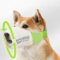 Muselière imperméable anti-morsure pour chien
