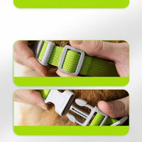 Muselière imperméable anti-morsure pour chien