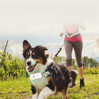 Traceur GPS intelligent pour chien