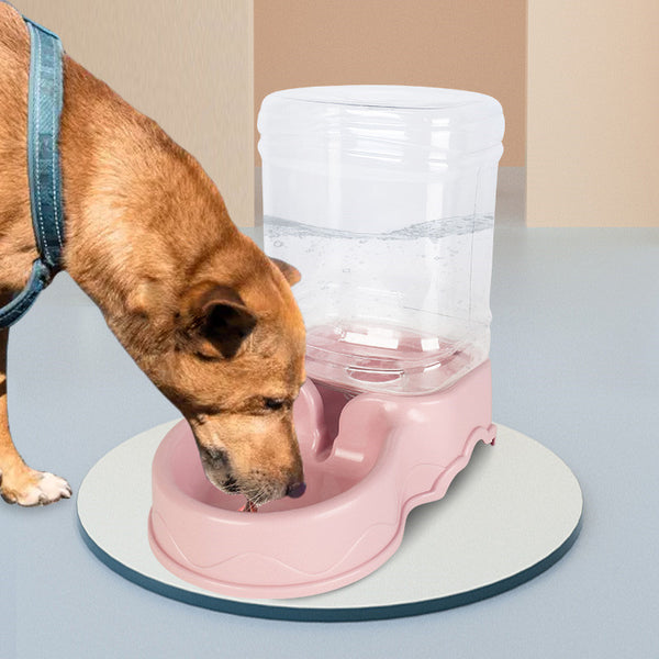 Un chien marron qui boit sur une fontaine à eau pour chien de couleur rose et sur un sol de couleur bleu