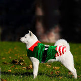 Costume festif à thème Noël pour chien