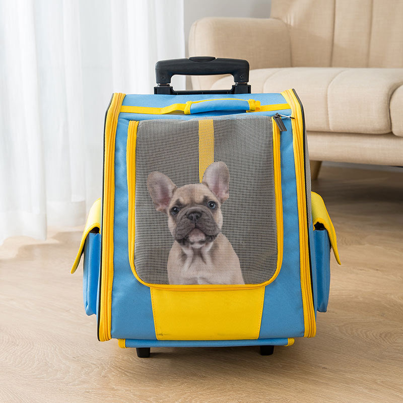 Sitemapcdatahttpsintkedriinfopoussette Chien Occasionnull