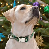 Un chien de race Labrador assit devant un sapin de Noël portant un collier personnalisable de couleur vert