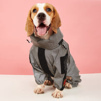 Chien portant un vêtement imperméable intégral, couvrant ses pattes et son corps, idéal pour les sorties par temps de pluie ou la nuit.
