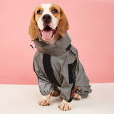 Chien portant un vêtement imperméable intégral, couvrant ses pattes et son corps, idéal pour les sorties par temps de pluie ou la nuit.