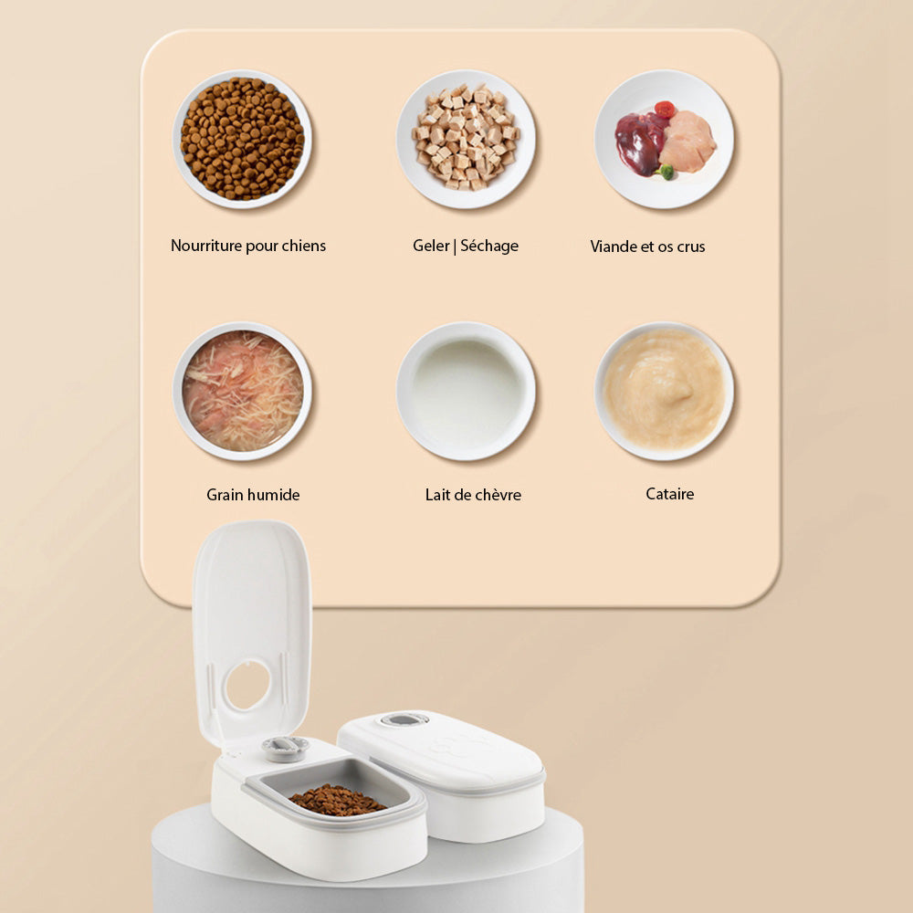Distributeur De Croquettes Automatique Pour Chien Mikizi — free download