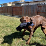 Peluche à mâcher ultra-résistante pour chien