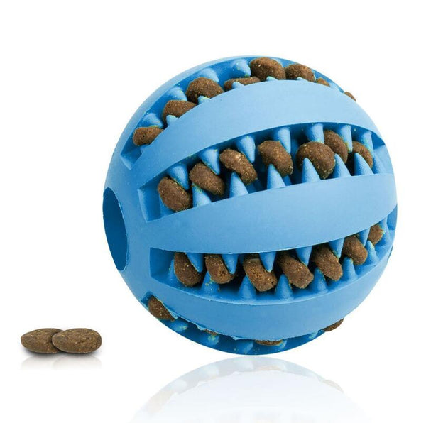 Jouet ballon pour Chien CAITEC - Rebondissant, Flottant et sonnore –  Amuzgueules