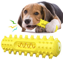 jouet à mâcher brosse à dent pour chien