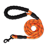 laisse corde pour chien orange