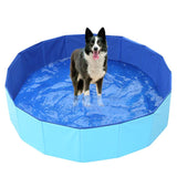grande piscine pour chien bleu avec un chien à l'intérieur
