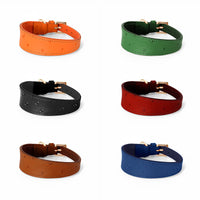 Sur fond blanc on peut voir plusieurs colliers en cuir disposaient. Chaque collier est de couleur différente. Il y a un collier orange, vert; noir, rouge, marron clair et bleu.