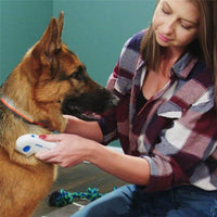 femme qui brosse son chien avec un peigne anti puce