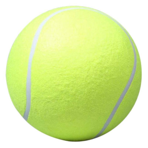 grosse balle pour chien