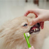 Kit de brosses à dents pour chien
