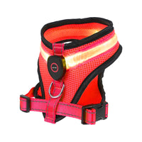 Harnais Lumineux Harnais Pour Chien Avec Lumière LED (XL Harnais Lumineux Harnais Pour Chien Avec Lumière LED (XL