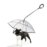 parapluie pour chien transparent