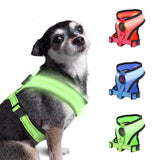 Harnais lumineux pour chien avec 3 harnais sur le côté droit. Les harnais sont rouge, bleu et vert. Un chien porte un harnais vert sur le côté gauche de la photo. 