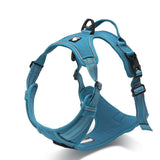 harnais anti traction truelove turquoise