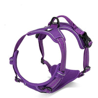 harnais anti traction truelove violet