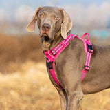 grand chien avec harnais truelove rose