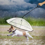 chien avec parapluie pour chien et laisse intégré